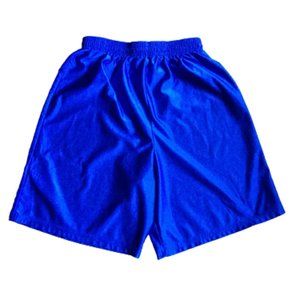 Men's Royal Blue Athletic Shorts Size Medium